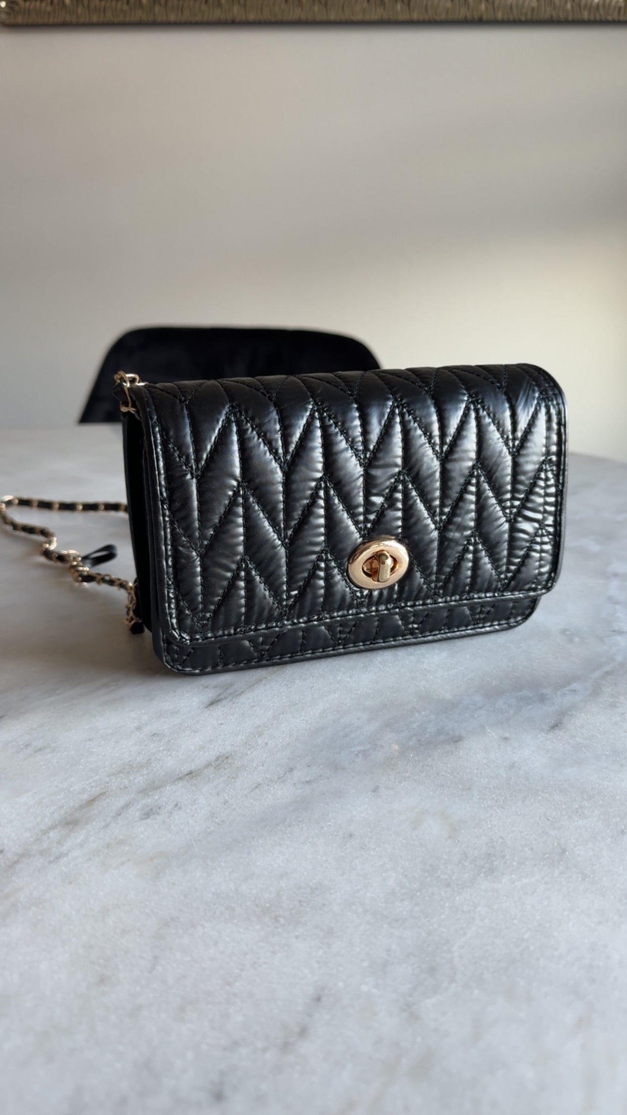 Tiny Black Purse