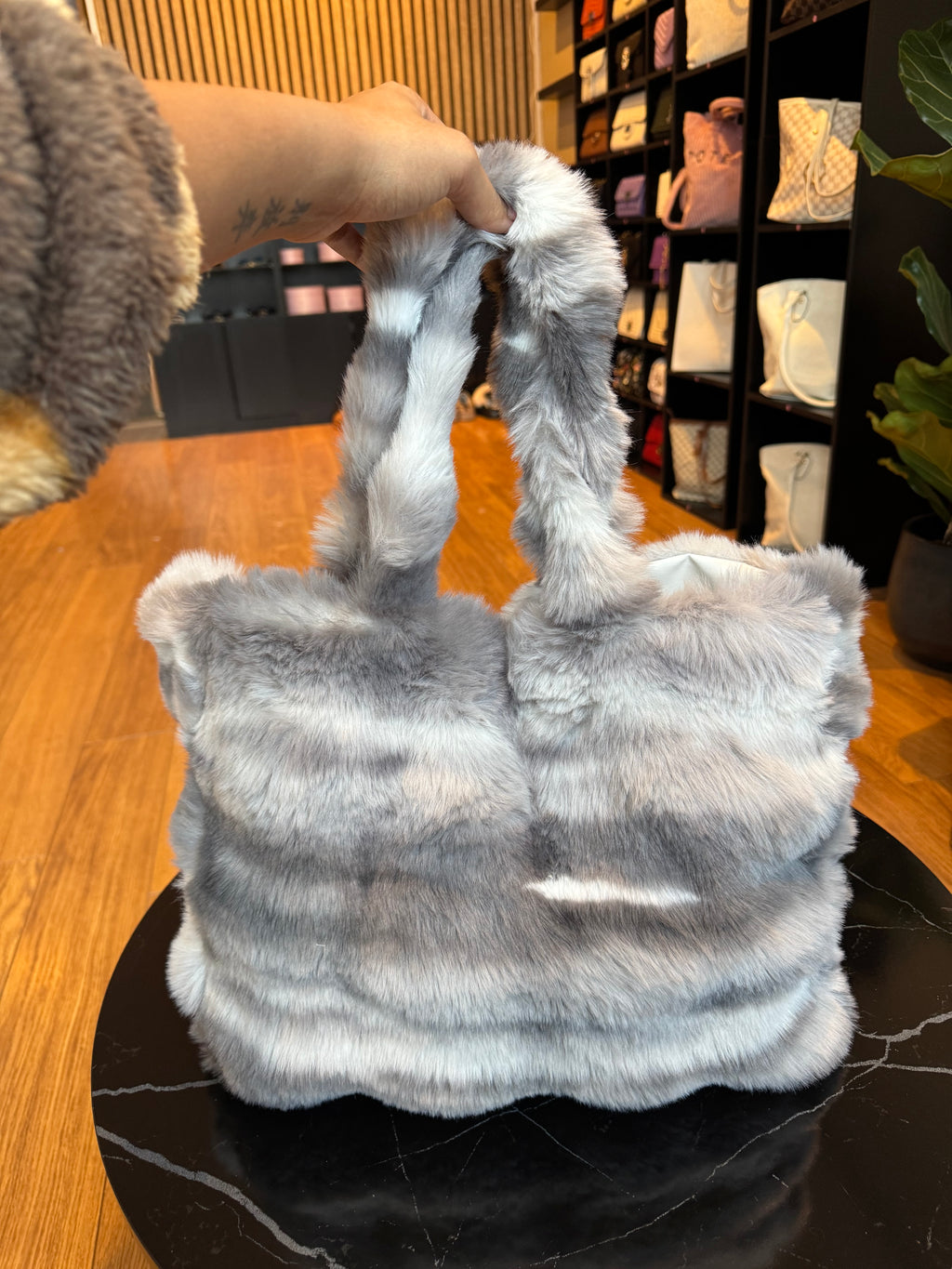 Grey And White Fluffy