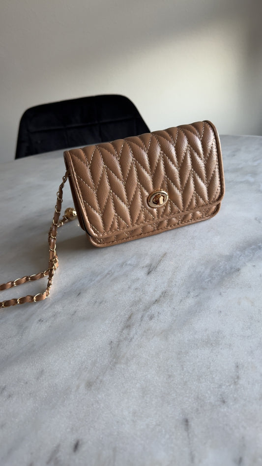 Tiny Brown Purse