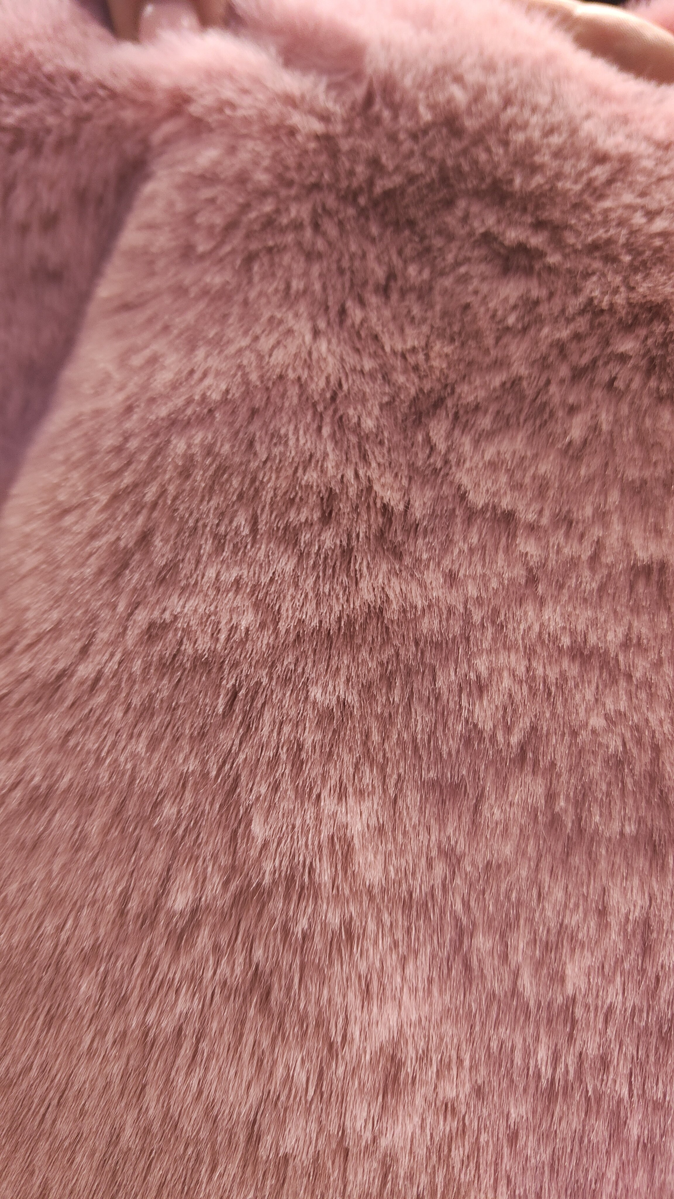 Fluffy Pink Cute